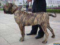 健康、訓練很重要