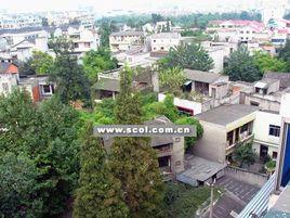 成都五大花園 成都五大花園