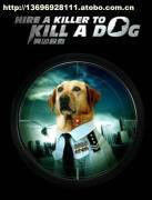 買兇殺狗
