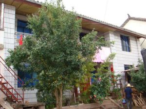 新雲二村 新雲二村