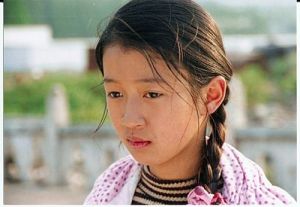 《無夢之年》 《無夢之年》