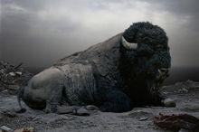 Nst[人格心理學]