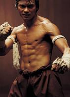 冬蔭功[巴猜平橋導演的動作片]