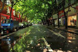 解放路[陝西省西安市解放路]