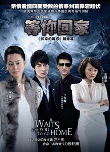 電視劇等你回家
