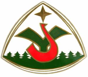 伊圖里河林業局