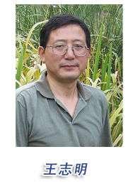 王志明[華東理工大學教授]