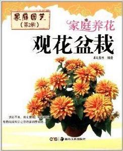 家庭養花:觀花盆栽 家庭養花:觀花盆栽