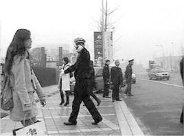 我只為領導服務 我只為領導服務