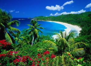 聖安娜海上國家公園 聖安娜海上國家公園