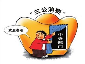 三公經費 三公經費