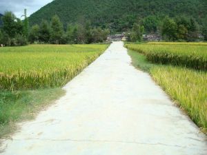 新紅自然村 新紅自然村