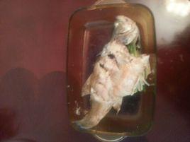 特百慧蒸魚 特百慧蒸魚