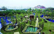 湯泉[南京市浦口區湯泉街道]