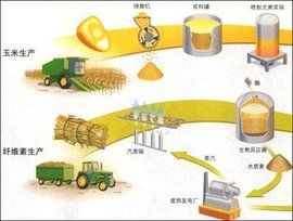 生物燃料 生物燃料