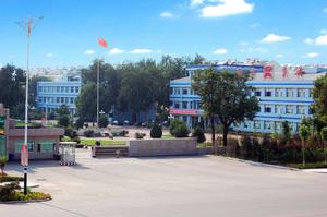 山東新方集團股份有限公司