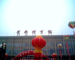 2010劉若英北京演唱會場館-首都體育館