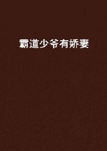 霸道少爺有嬌妻 霸道少爺有嬌妻