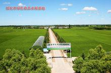 秦家鎮[黑龍江綏化市北林區秦家鎮]