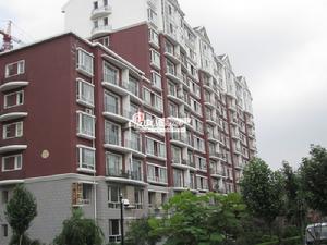 一品紅城 一品紅城