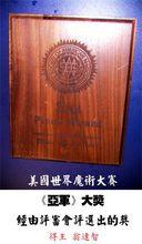 翁達智的重要獎項