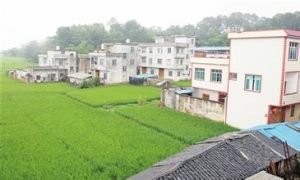 甫村屯村 甫村屯村