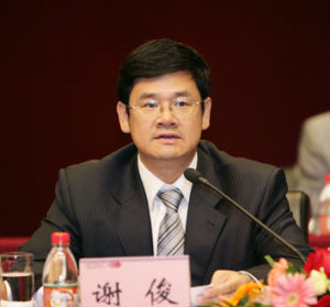 謝俊[中國國電集團公司黨組成員、黨組紀檢組組長]