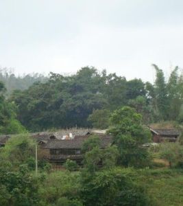 黃草嶺自然村 黃草嶺自然村