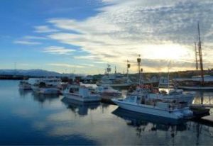 胡薩維克 胡薩維克