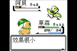 口袋妖怪銀版 口袋妖怪銀版