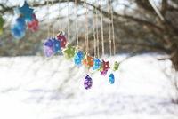 幸運星星 幸運星星