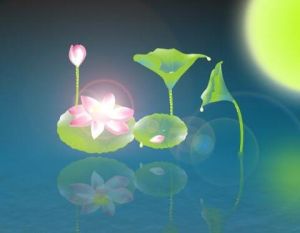 一花五葉 一花五葉