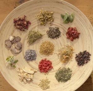 國家中藥二級保護品種 國家中藥二級保護品種