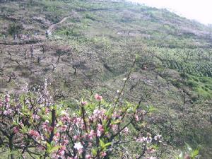 走馬鎮民間故事