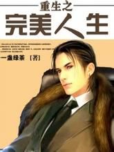 重生之完美人生 重生之完美人生