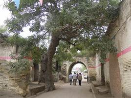 南陽王村 南陽王村