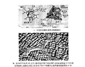 鎳基超合金 鎳基超合金