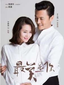 最美是你[2014年周德華執導電視劇]