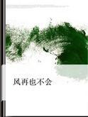 風再也不會 風再也不會
