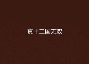 真十二國無雙 真十二國無雙