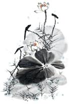 經典印象&middot;水墨荷花