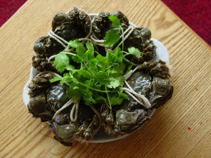 陽澄湖大閘蟹照片