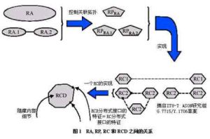 企業複合網路模型