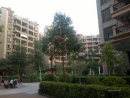 河南岸中學 河南岸中學