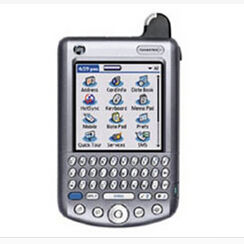 Palm Tungsten W Palm Tungsten W