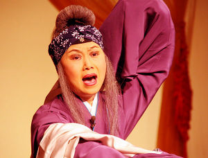 評劇《八珍湯》圖