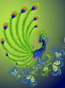 重生猛禽 重生猛禽