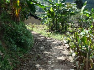 下大坡自然村 下大坡自然村