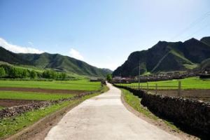 崗岔樓村 崗岔樓村