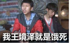 我王境澤就是餓死 我王境澤就是餓死